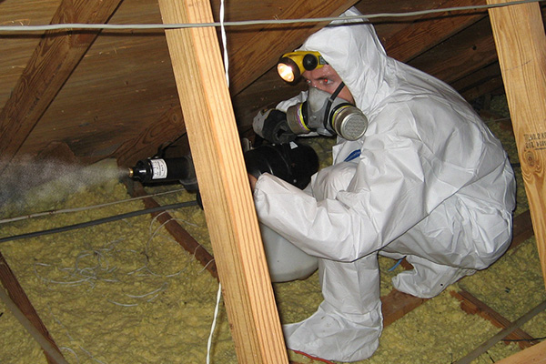 Attic Restoration Cleanup Services What Does It Cost